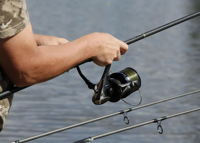 別荘 Le Brochet Villiers-Charlemagne